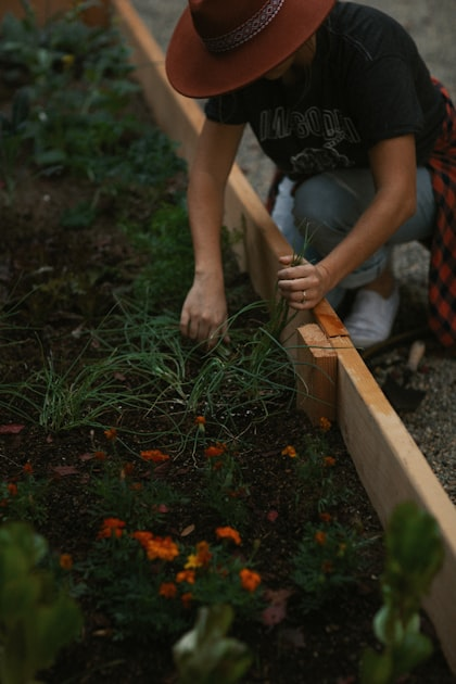 How to Apply for Garden Plots