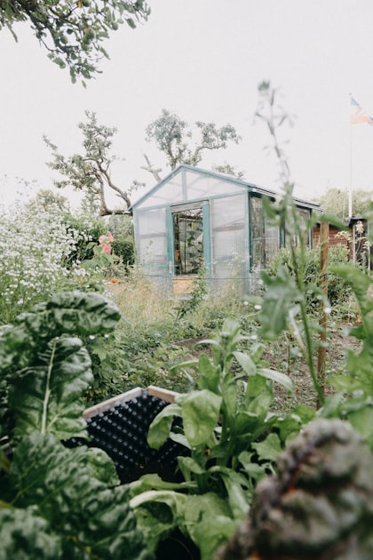 Understanding Garden Rules