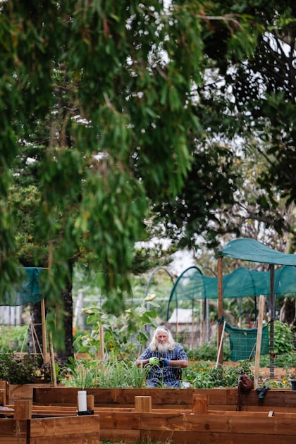 Exploring the St. Francis Community Garden
